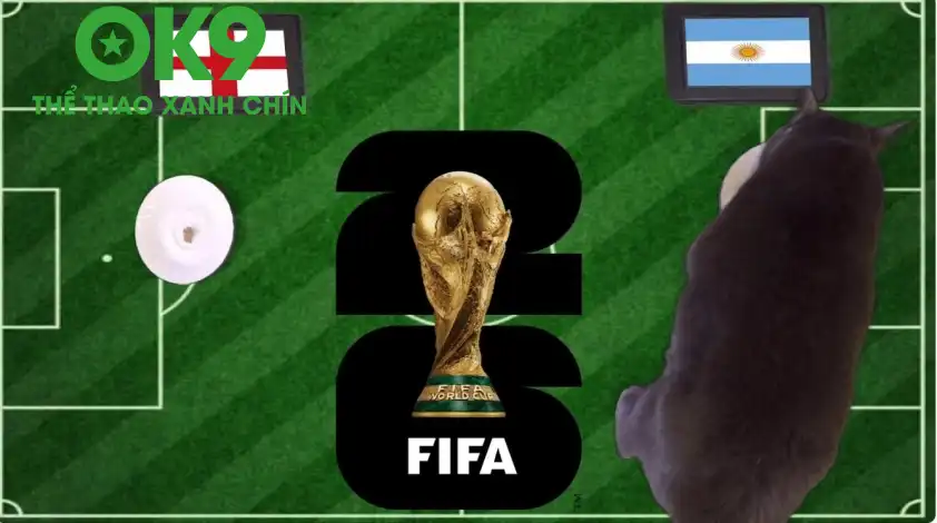 Mèo tiên tri dự đoán Argentina là cái tên bước tiếp vào chung kết Mèo tiên tri dự đoán Argentina là cái tên bước tiếp vào chung kết